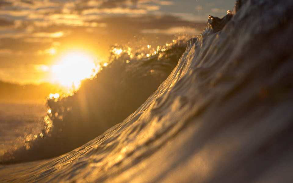 Golden light on a breaking wave near Santa Catalina